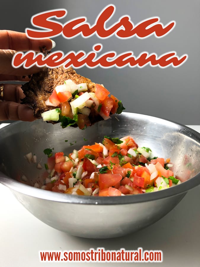 Salsa Mexicana Vegan Low Carb